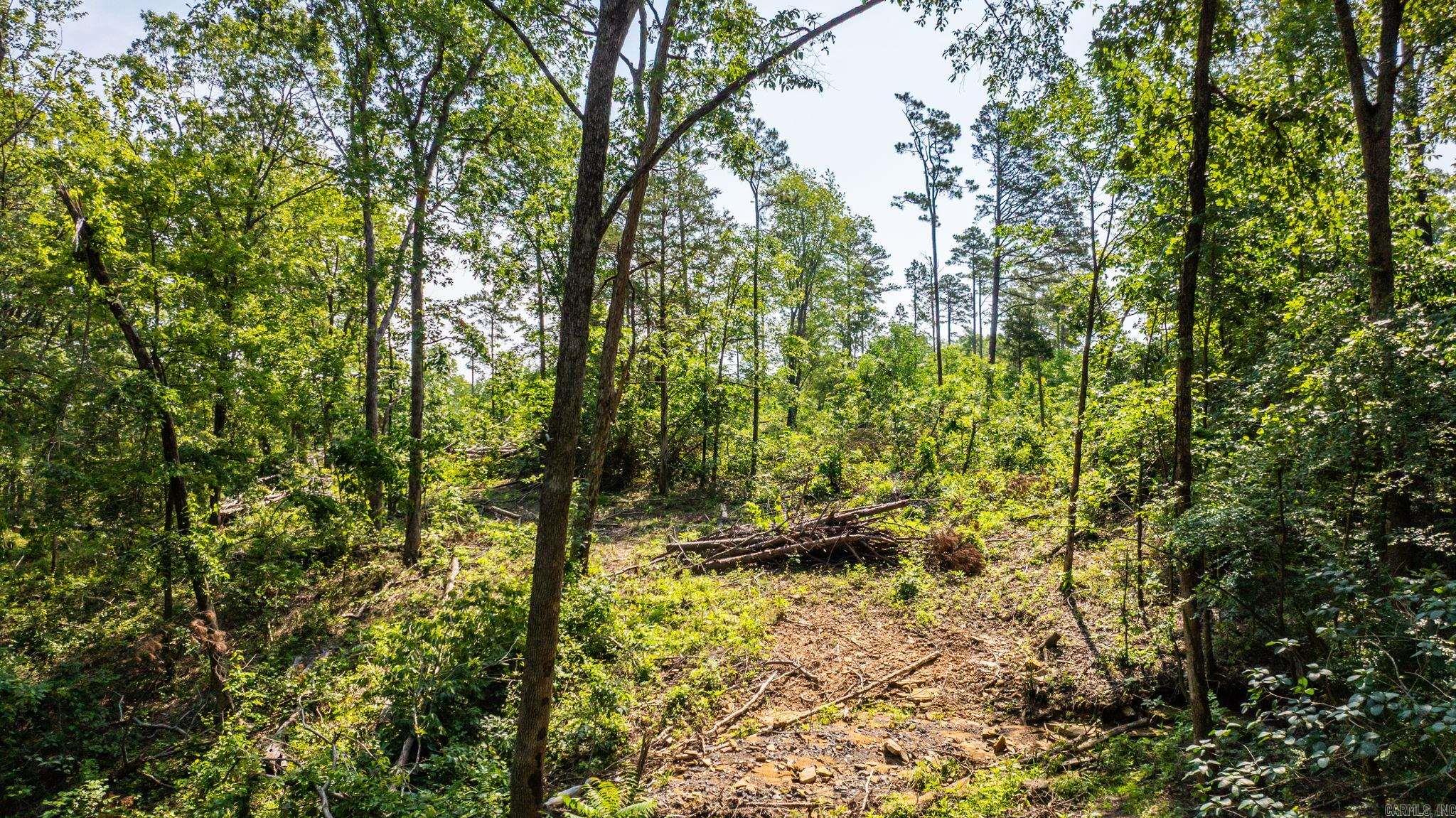 Tract 10 Harmony Mountain Road  Clinton, AR