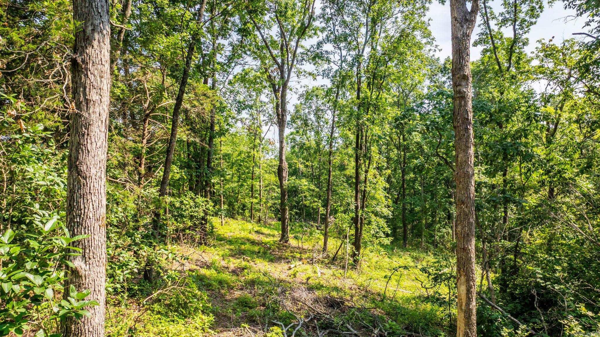 Tract 10 Harmony Mountain Road  Clinton, AR