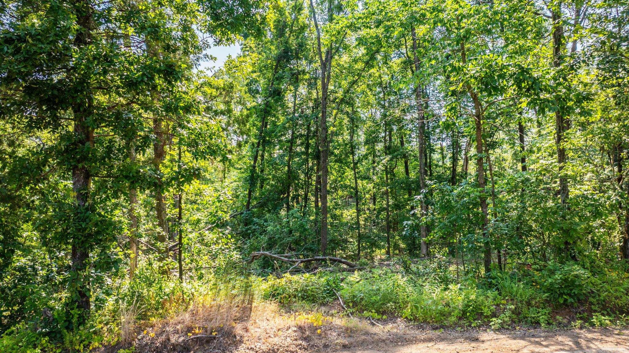 Tract 10 Harmony Mountain Road  Clinton, AR