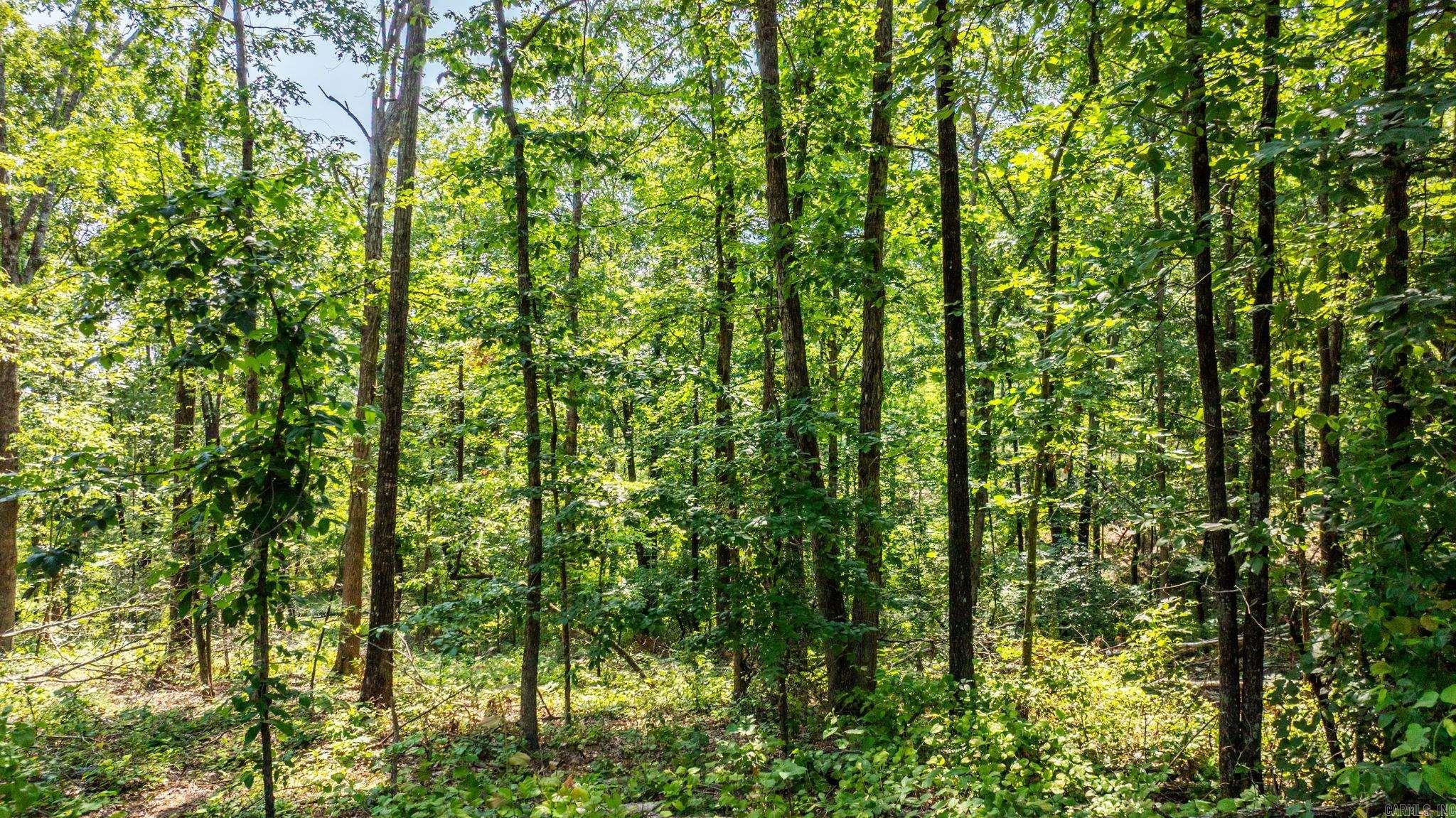 Tract 10 Harmony Mountain Road  Clinton, AR