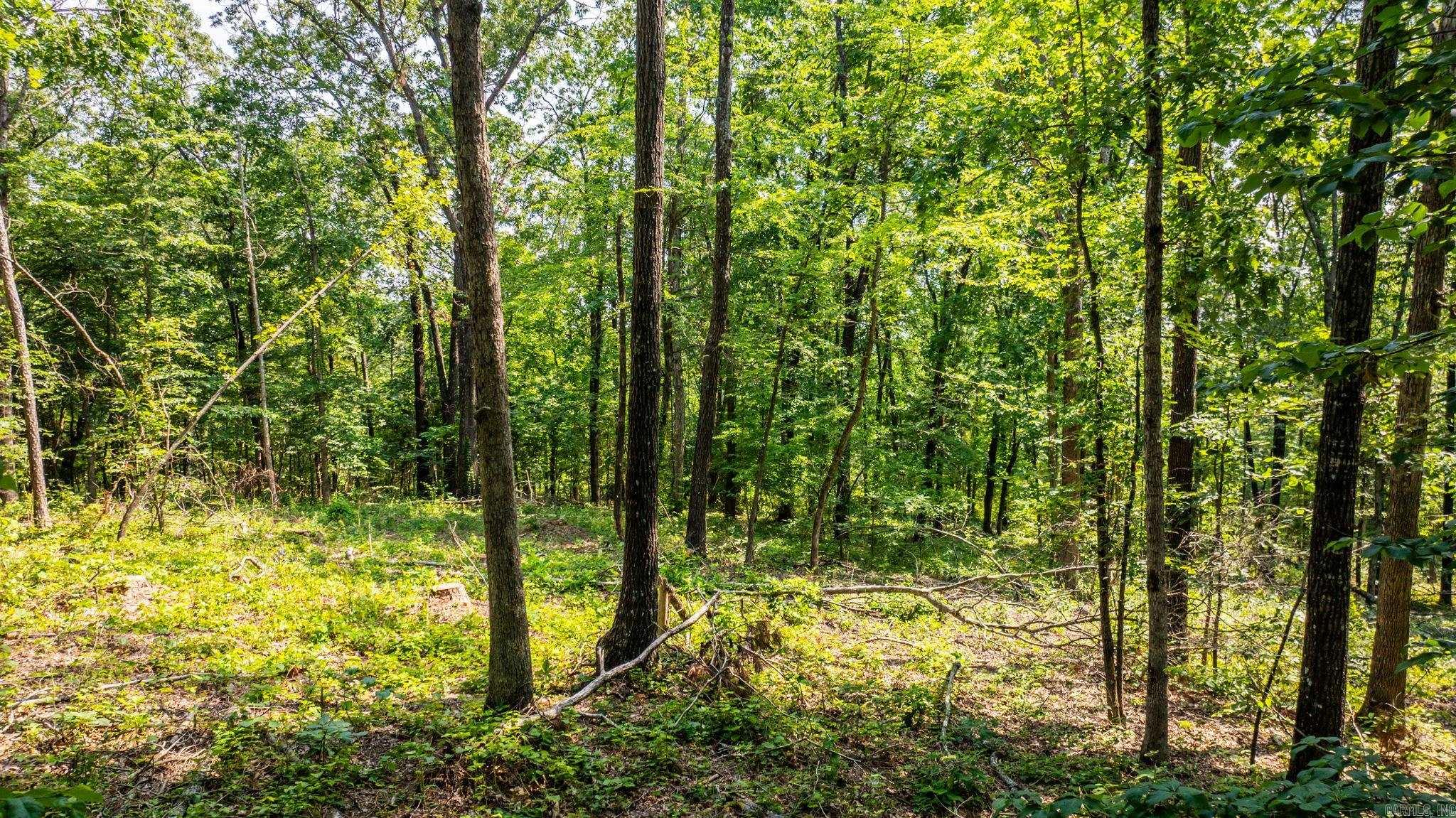 Tract 10 Harmony Mountain Road  Clinton, AR