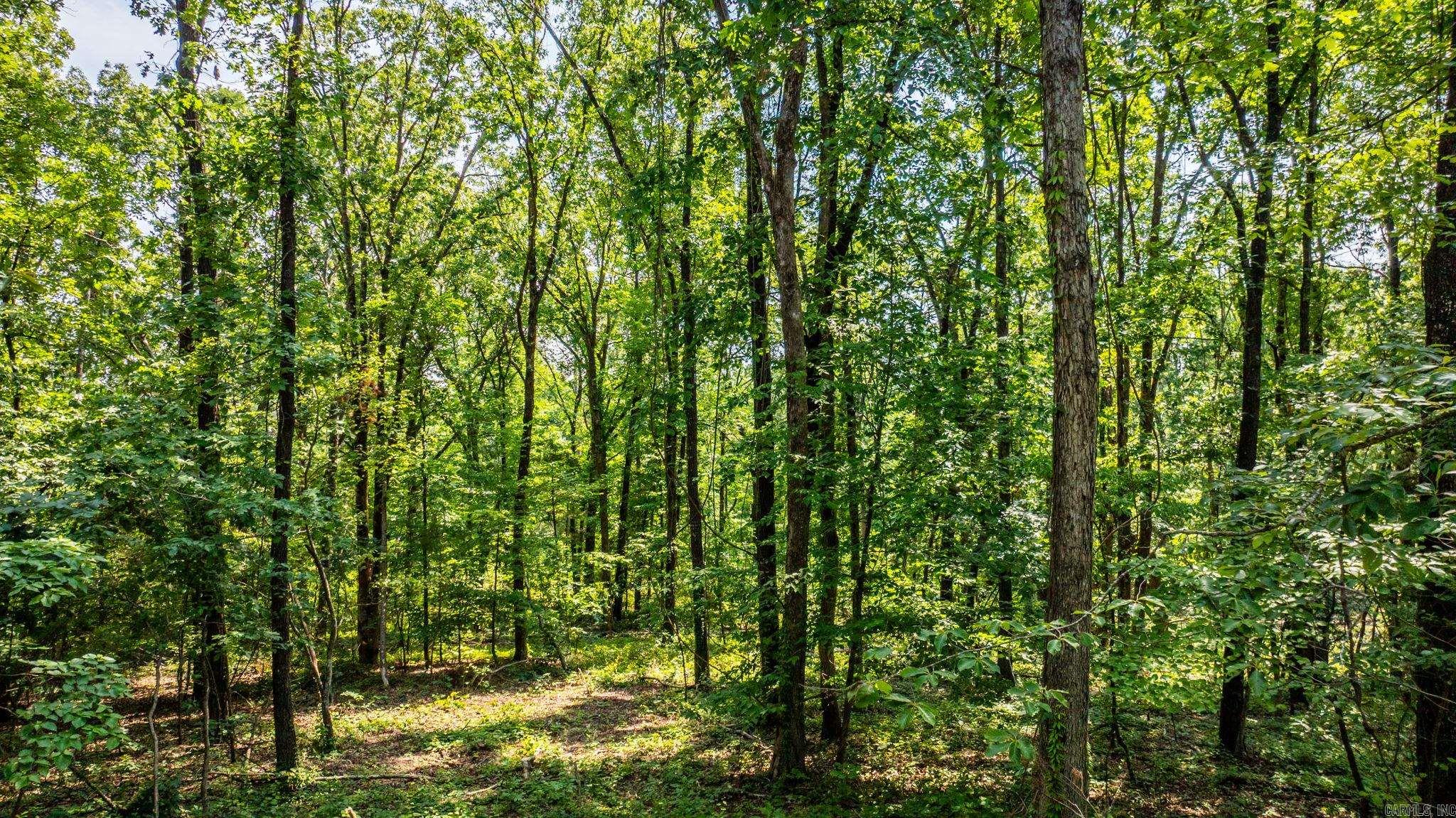 Tract 10 Harmony Mountain Road  Clinton, AR