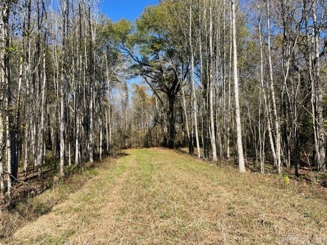 000 Irene Circle  Greenbrier, AR