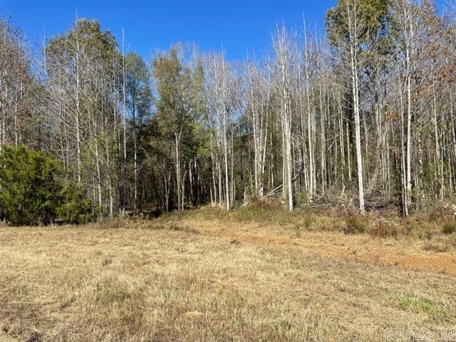 000 Irene Circle  Greenbrier, AR