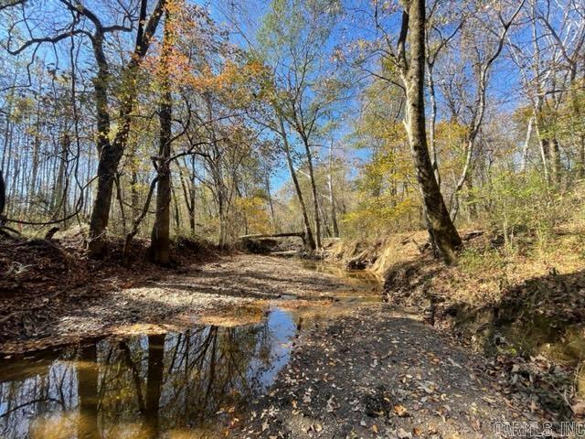 000 Irene Circle  Greenbrier, AR