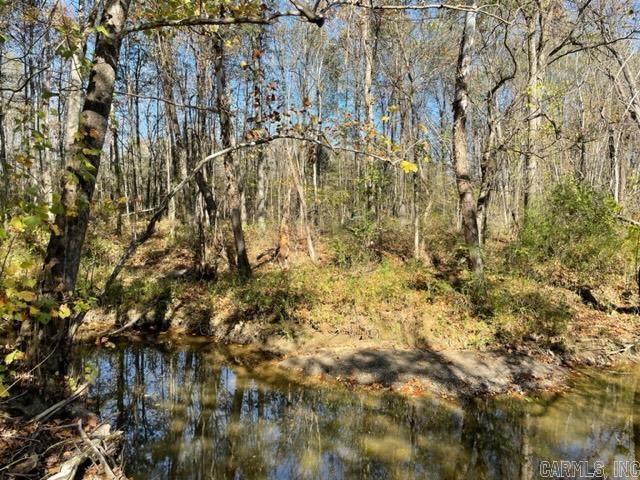 000 Irene Circle  Greenbrier, AR