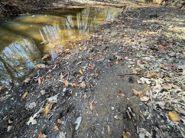 000 Irene Circle  Greenbrier, AR