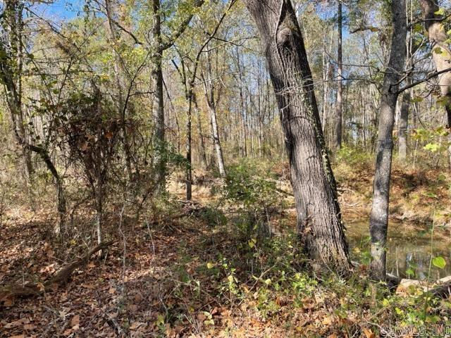 000 Irene Circle  Greenbrier, AR