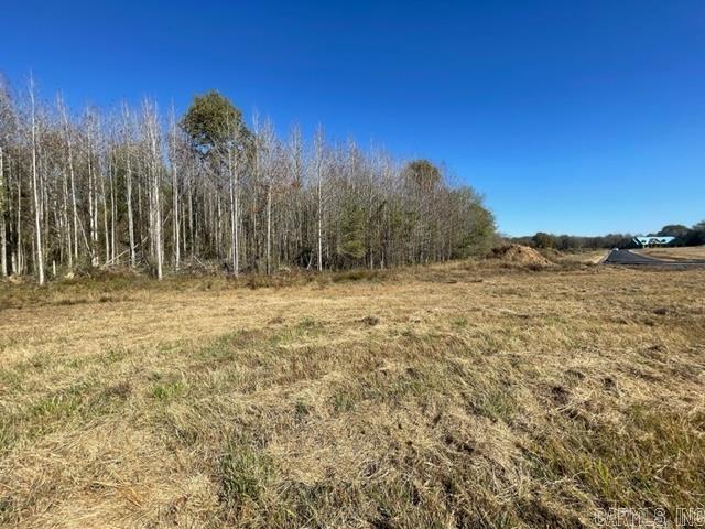 000 Irene Circle  Greenbrier, AR