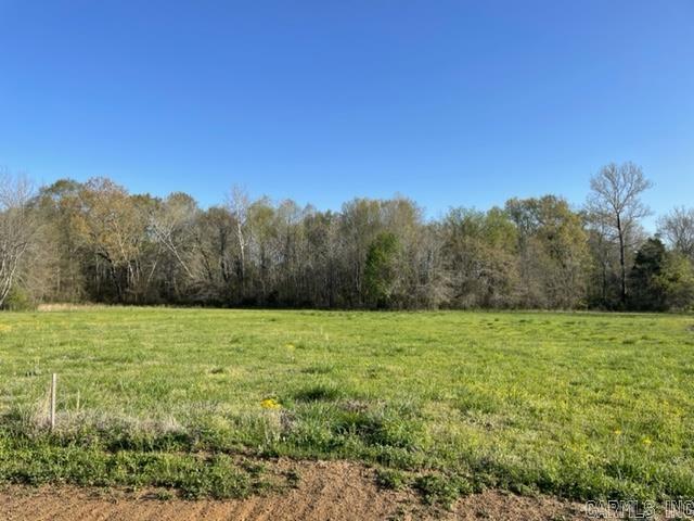 000 Irene Circle  Greenbrier, AR