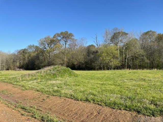 000 Irene Circle  Greenbrier, AR