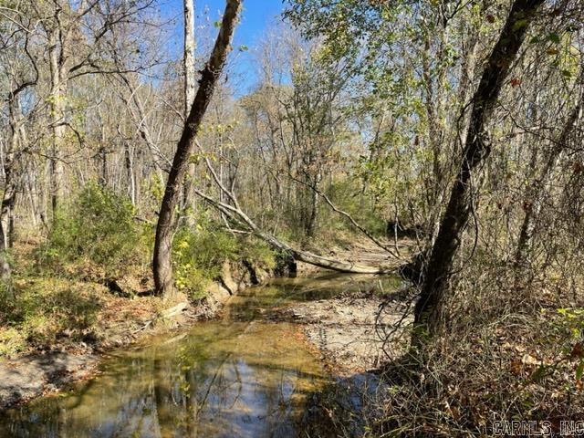 000 Irene Circle  Greenbrier, AR