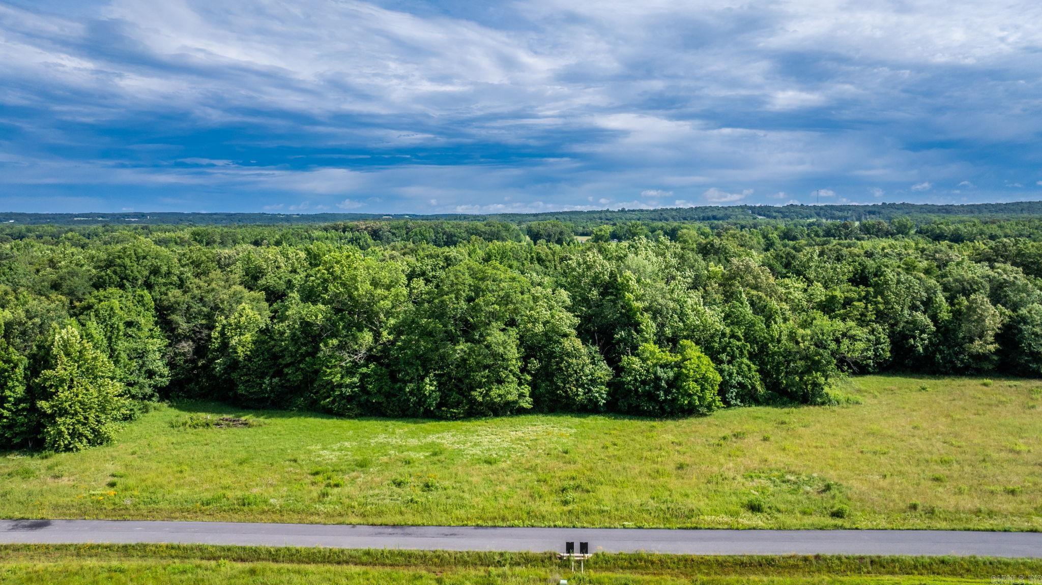 000 Irene Circle  Greenbrier, AR