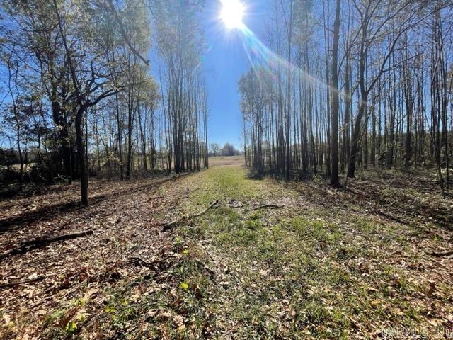 000 Irene Circle  Greenbrier, AR