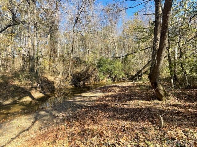 000 Irene Circle  Greenbrier, AR