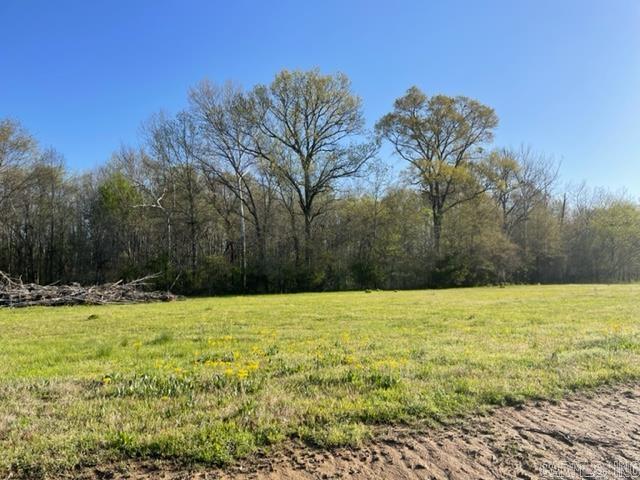 000 Irene Circle  Greenbrier, AR