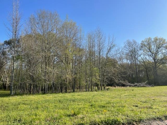 000 Irene Circle  Greenbrier, AR