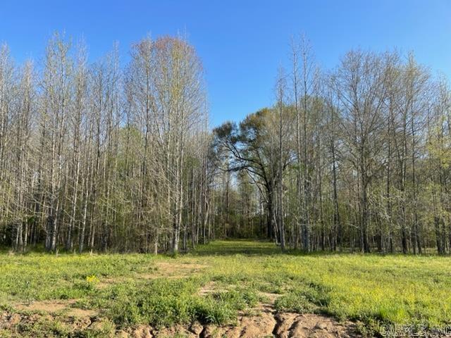 000 Irene Circle  Greenbrier, AR