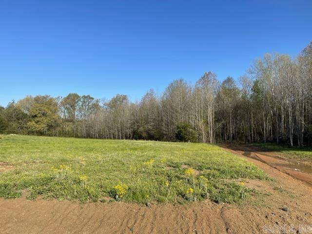 000 Irene Circle  Greenbrier, AR