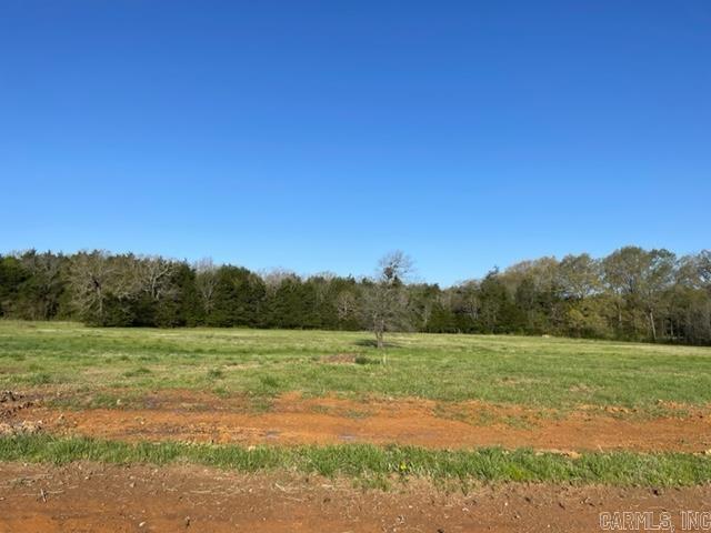 000 Irene Circle  Greenbrier, AR