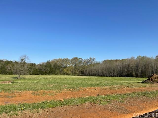 000 Irene Circle  Greenbrier, AR