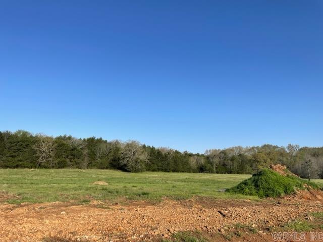 000 Irene Circle  Greenbrier, AR