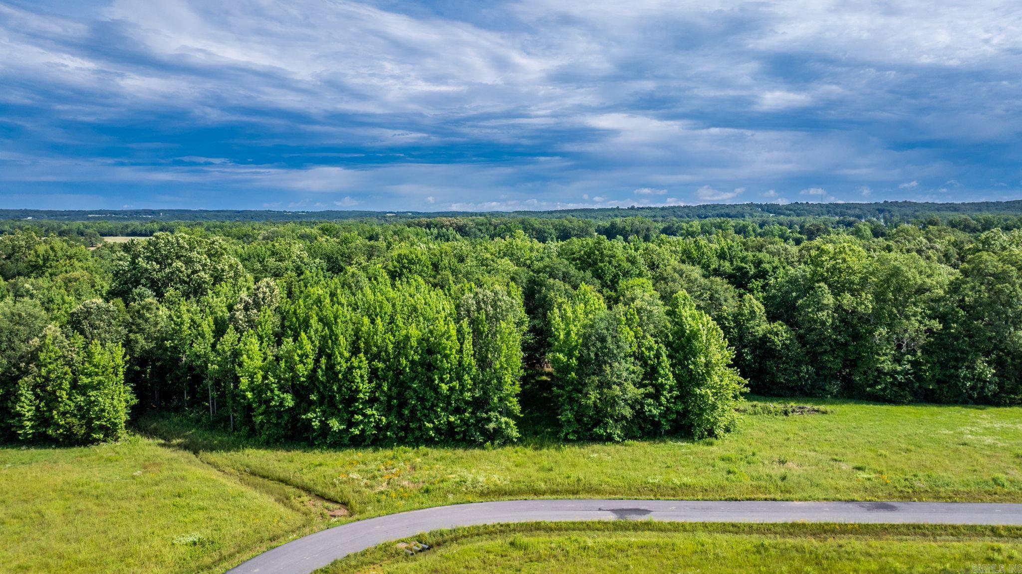 000 Irene Circle  Greenbrier, AR