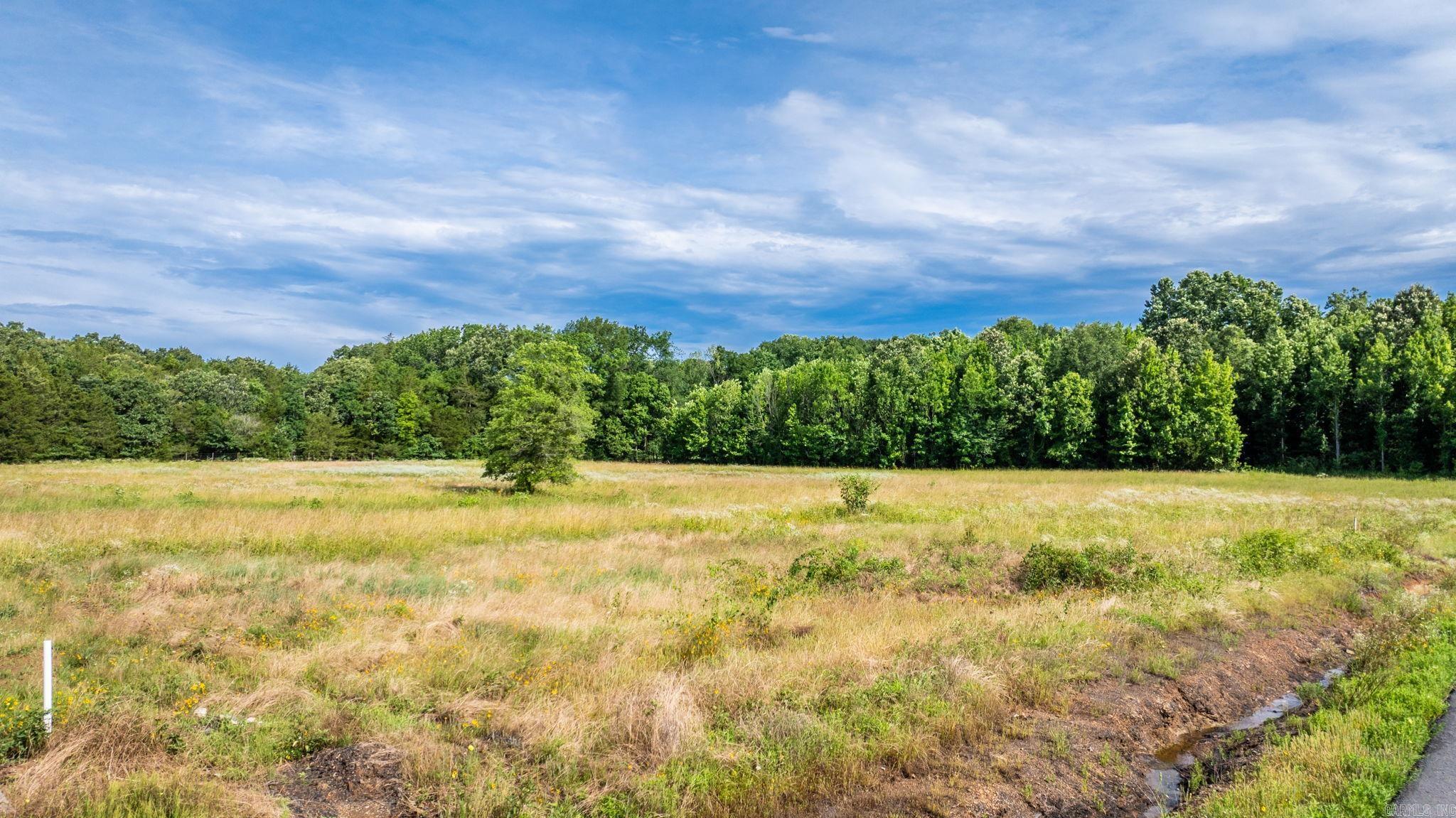 00 Irene Circle  Greenbrier, AR