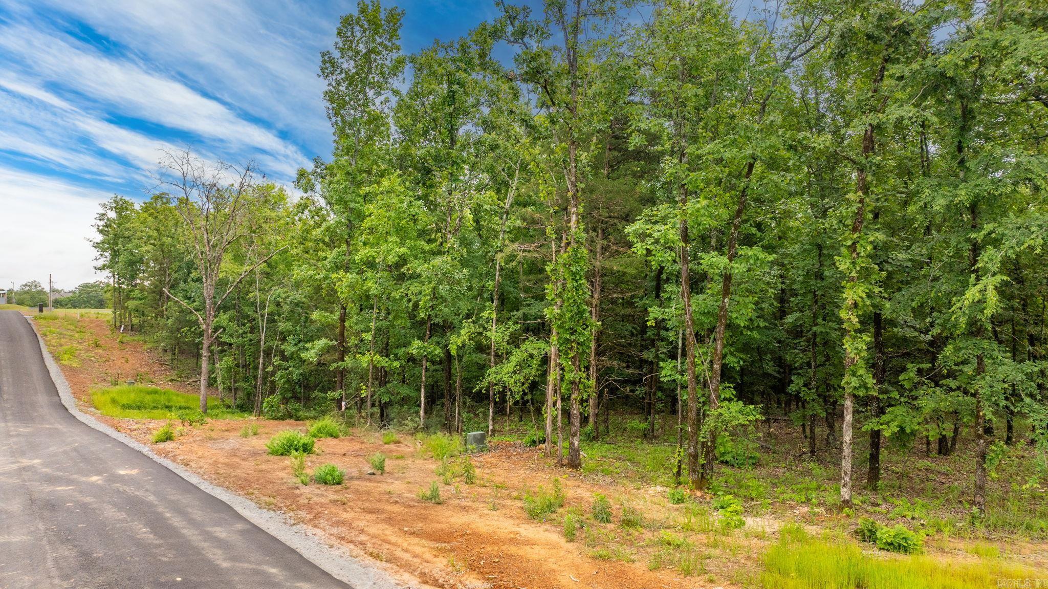 19 Sky Eagle Drive  Greenbrier, AR