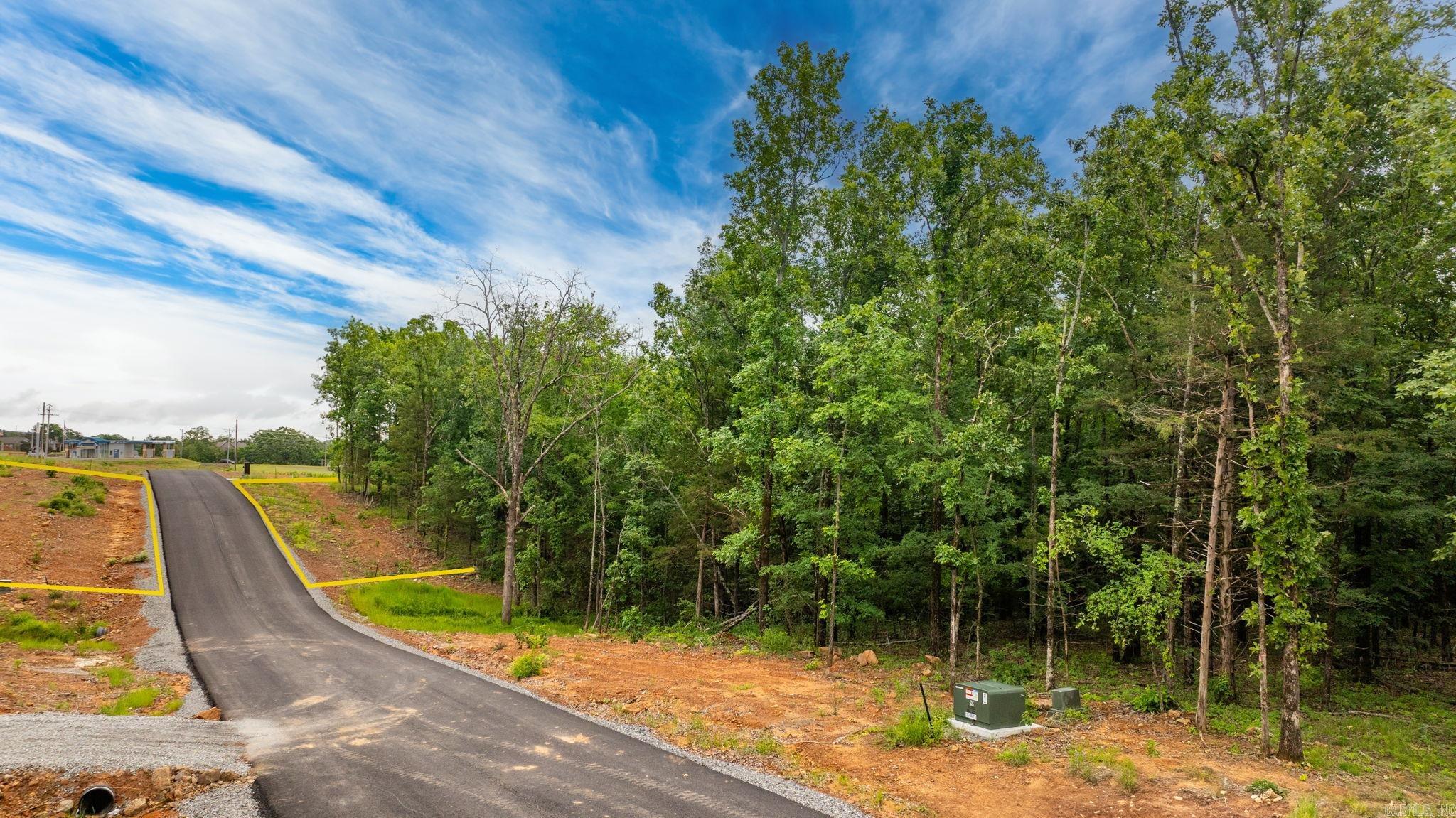 19 Sky Eagle Drive  Greenbrier, AR