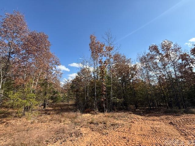 27 Summer Tyme Drive  Greenbrier, AR