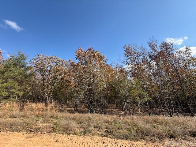 25 Summer Tyme Drive  Greenbrier, AR