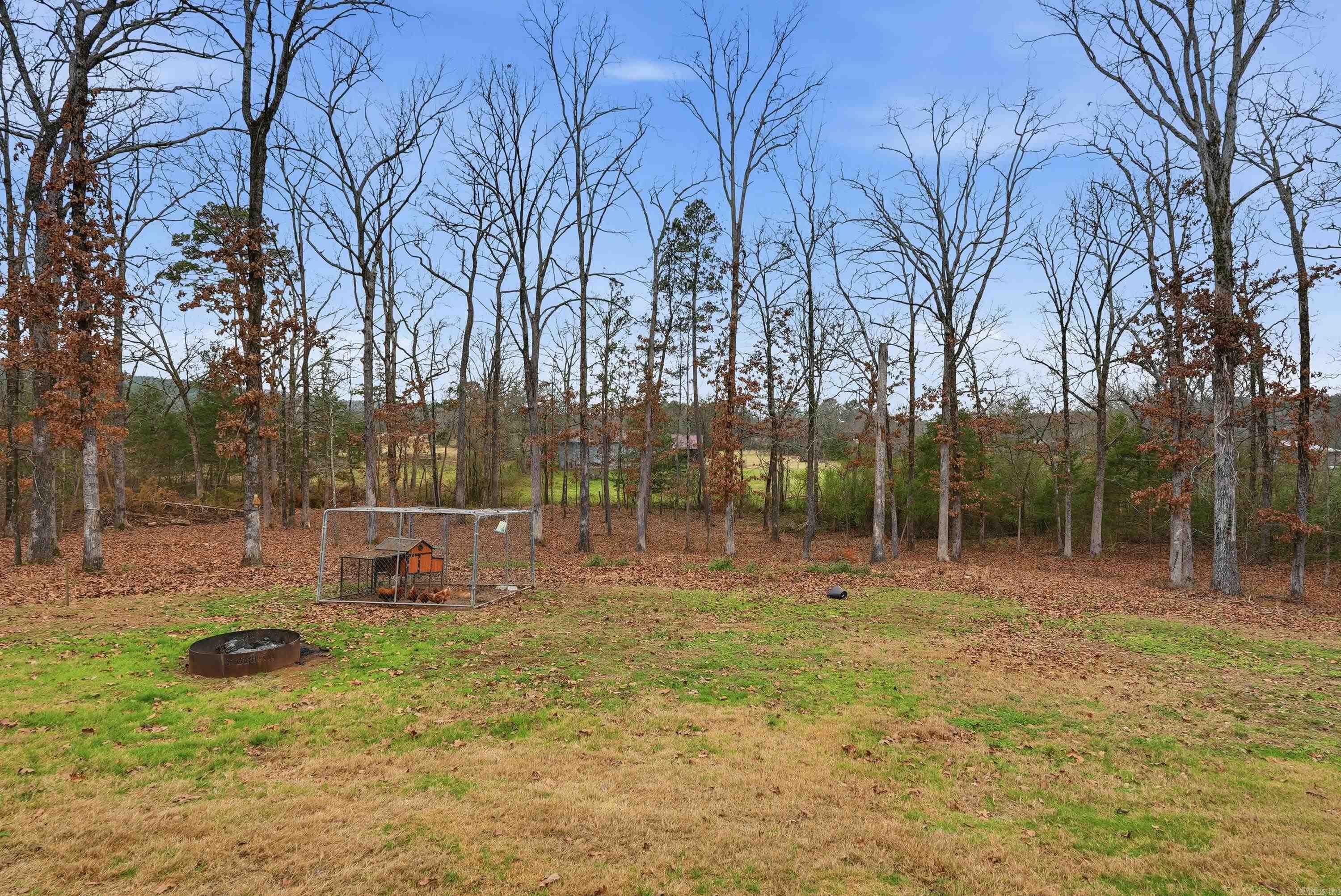 31 Griffin Ln  Houston, AR