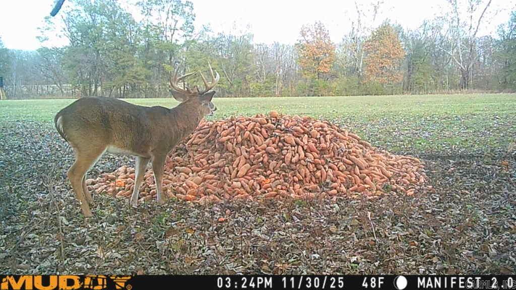 00 sfc 431  Widener, AR