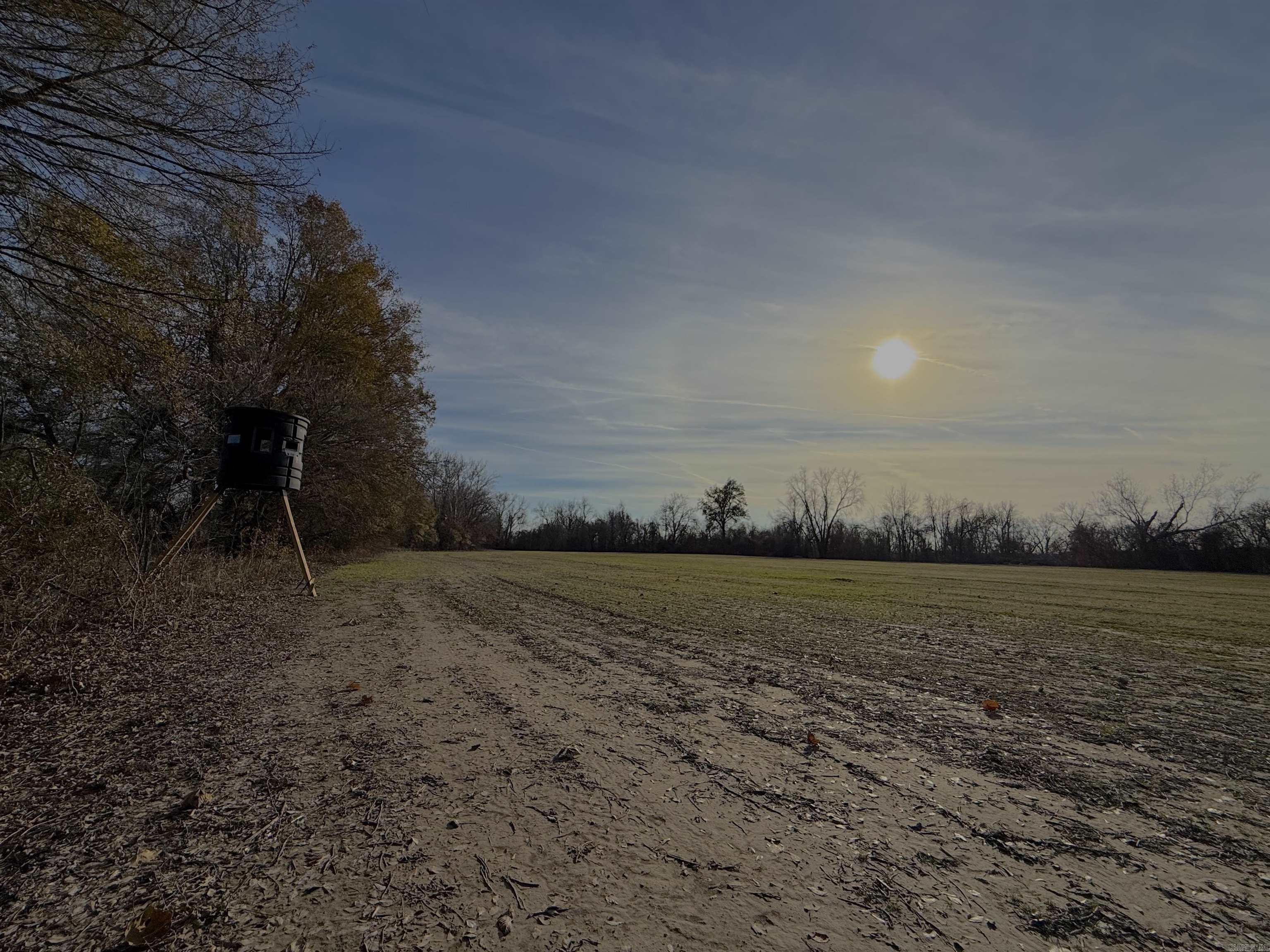 00 sfc 431  Widener, AR