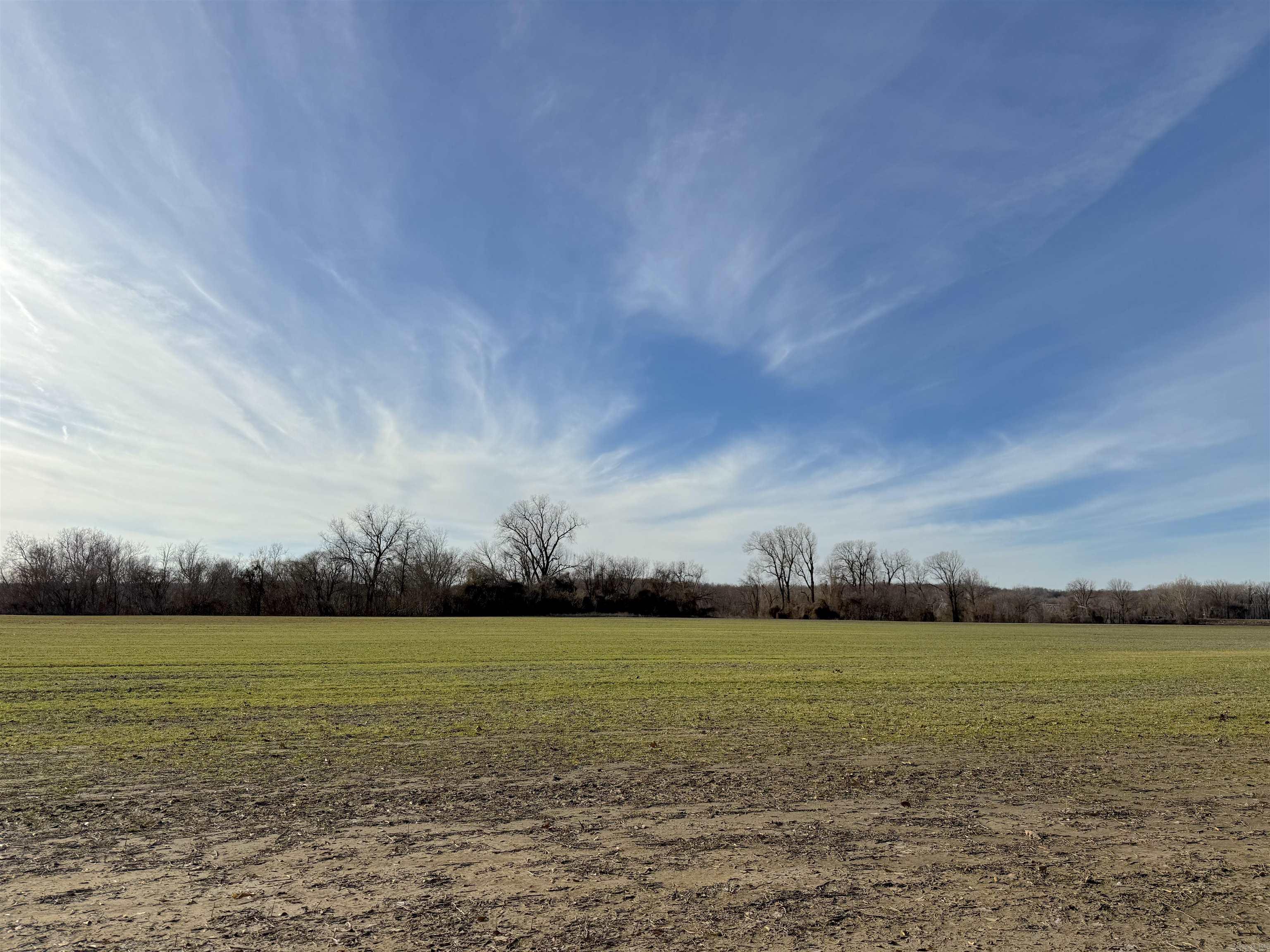 00 sfc 431  Widener, AR