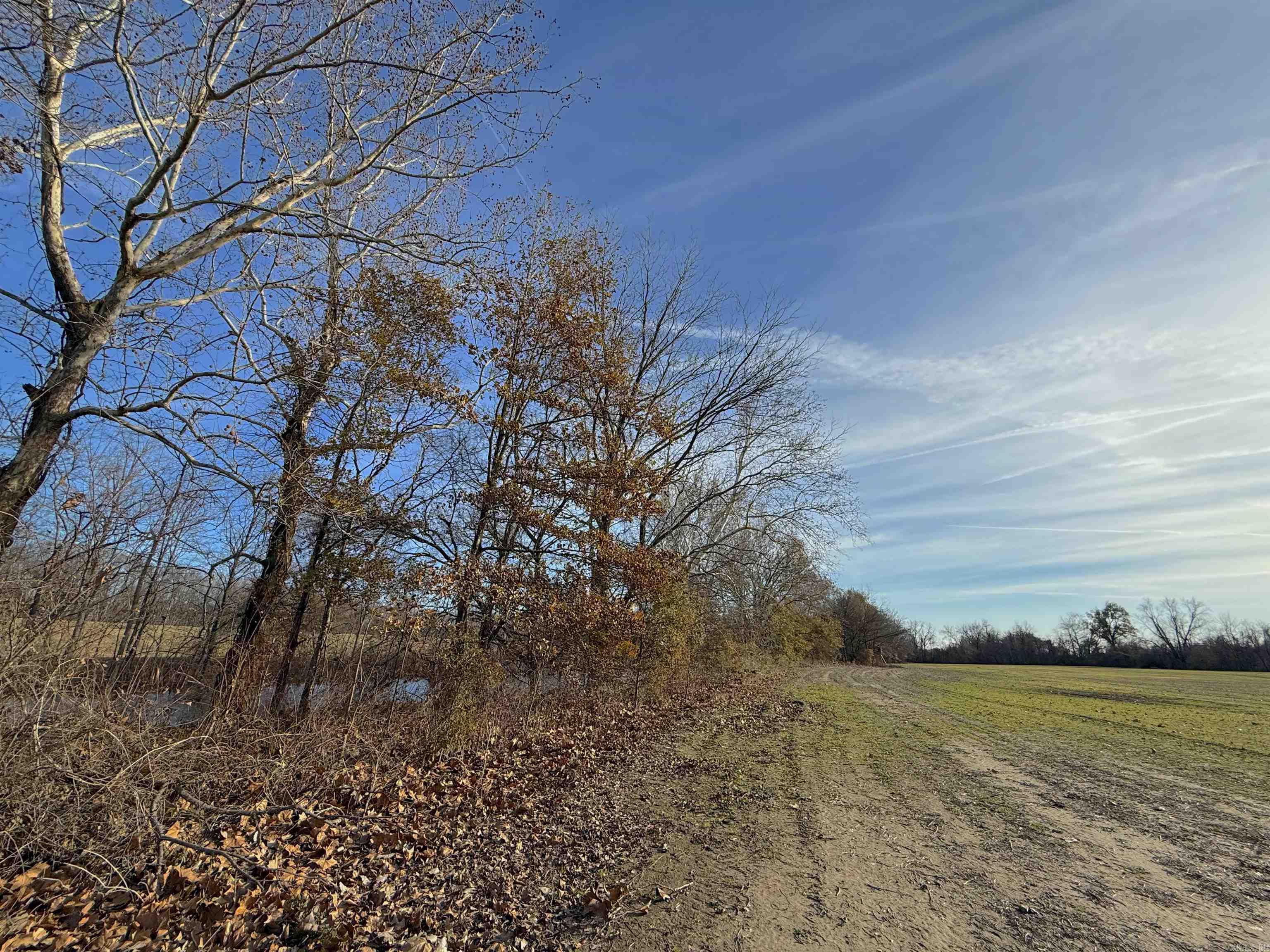 00 sfc 431  Widener, AR