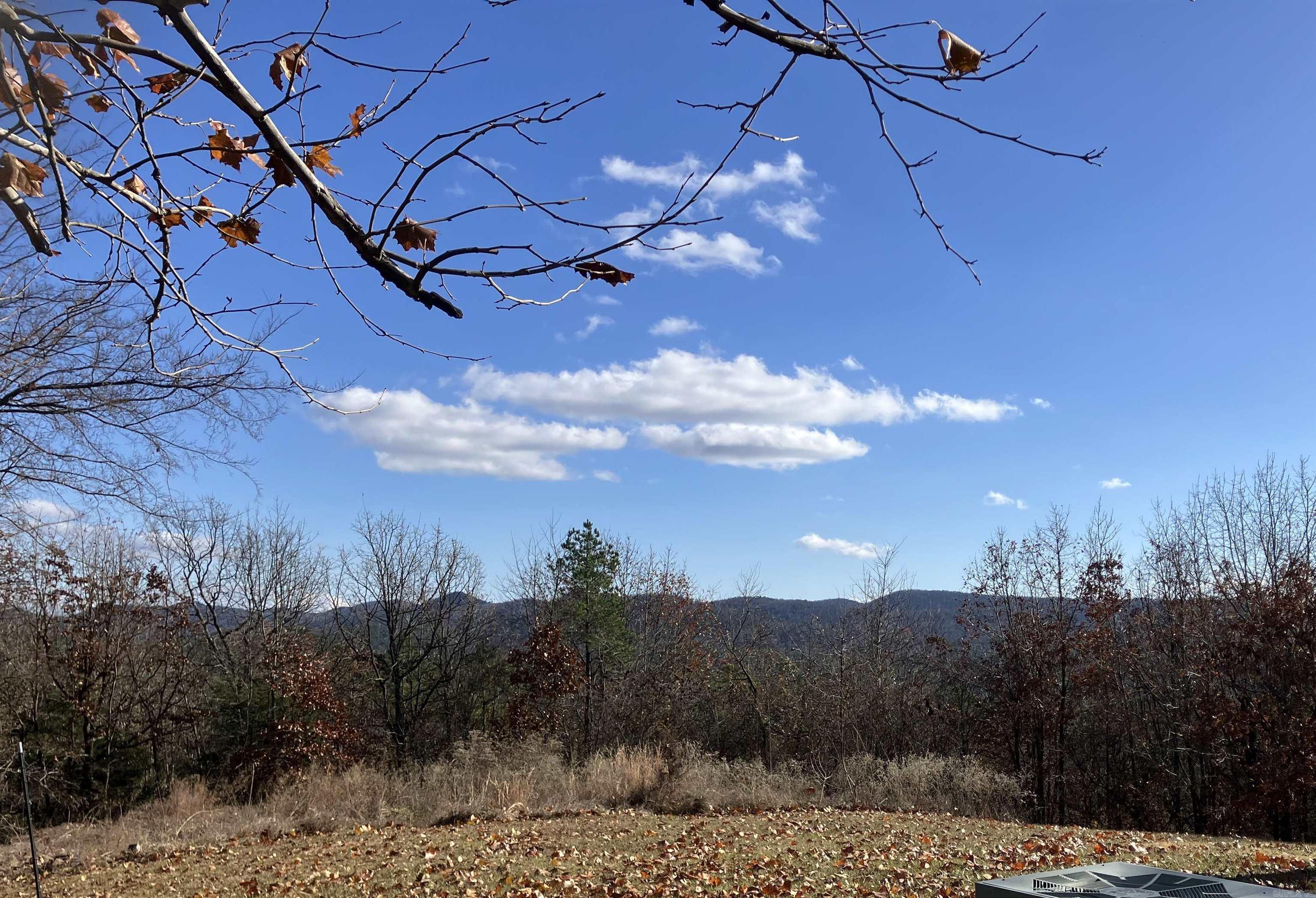 TBD-2 Acres Thompson Creek  Mena, AR