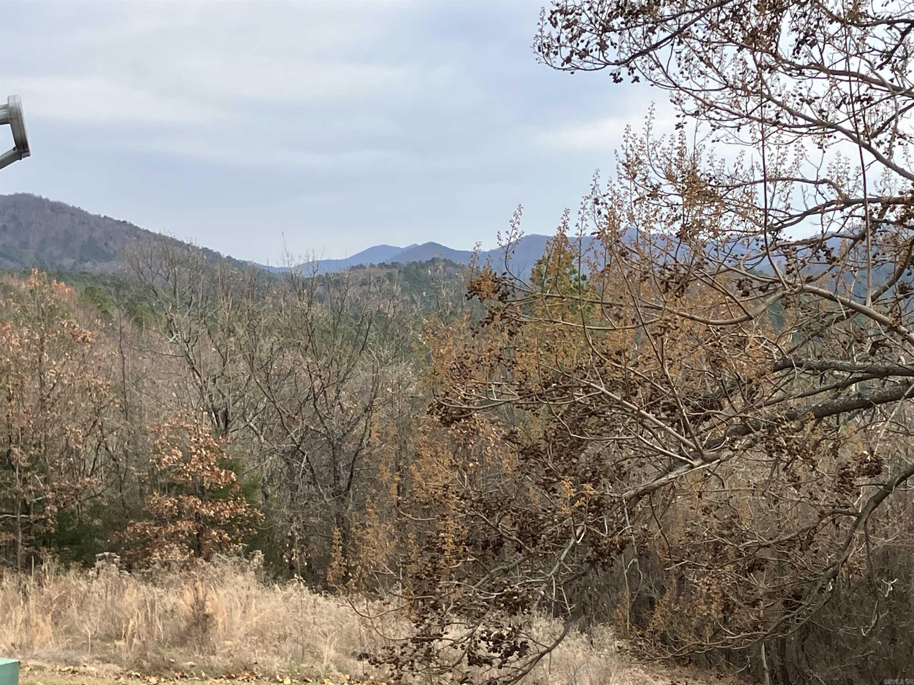 TBD-2 Acres Thompson Creek  Mena, AR