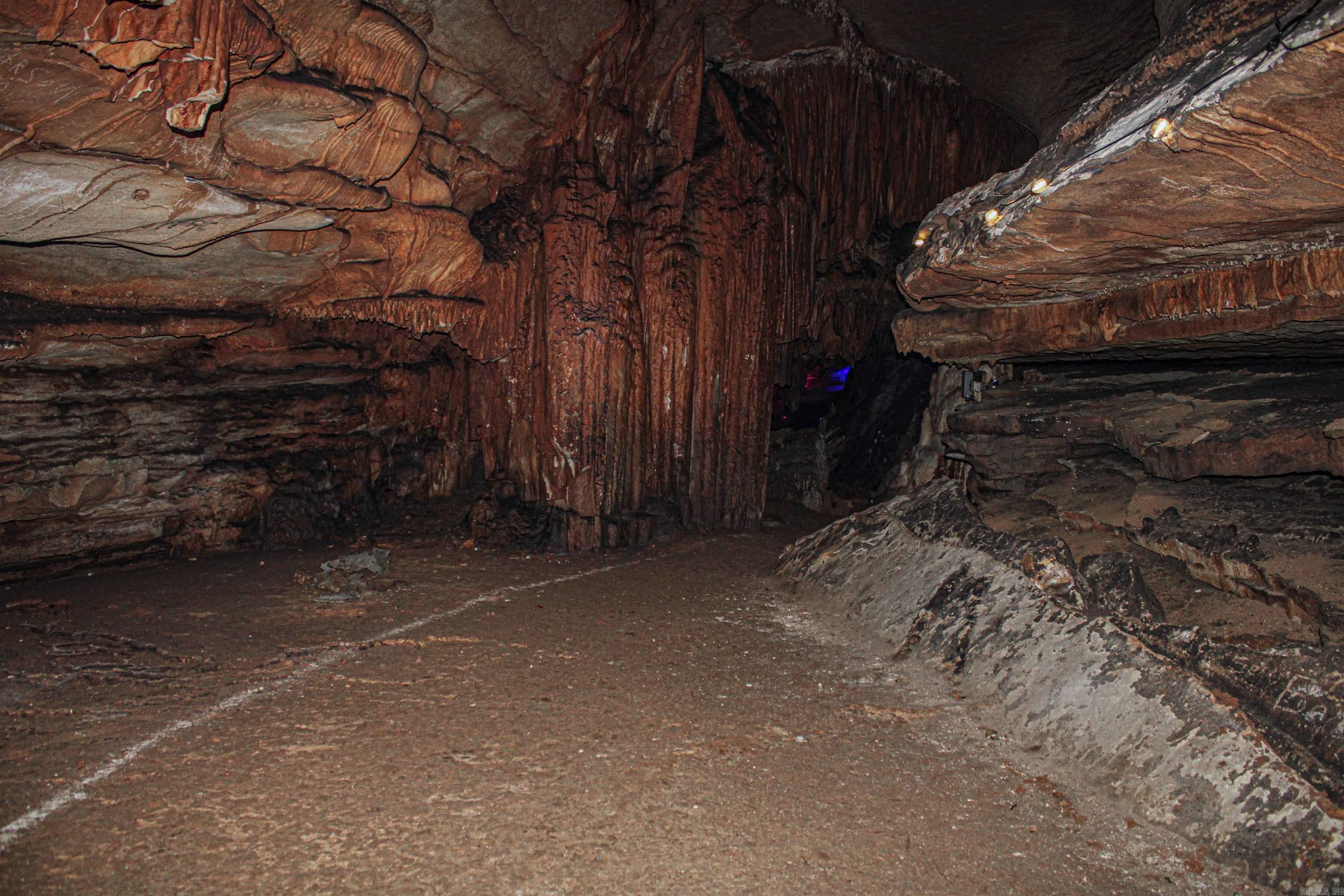 1770 MC 5026  Valley Springs, AR