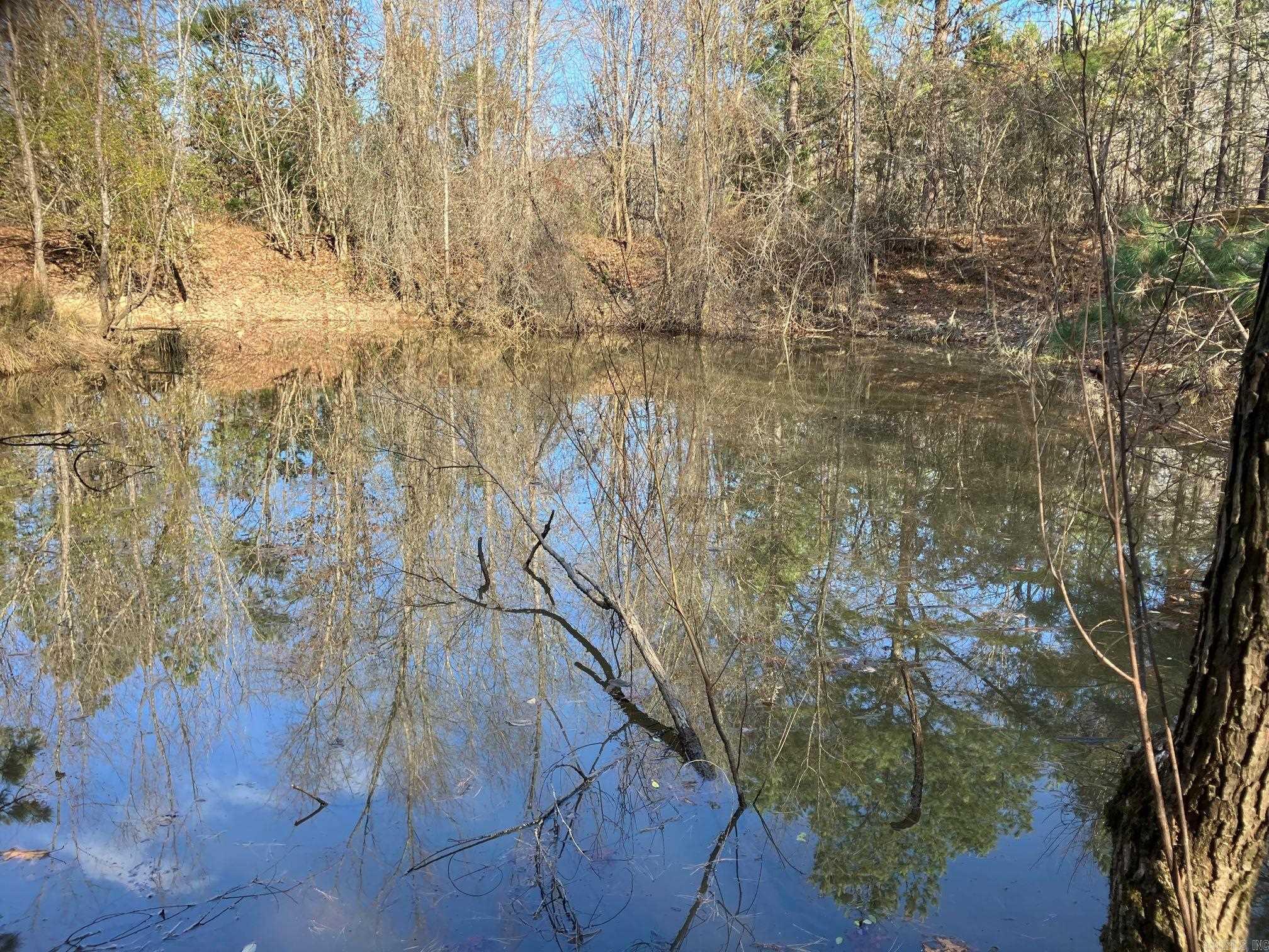 TBD-16 Acres Thompson Creek  Mena, AR