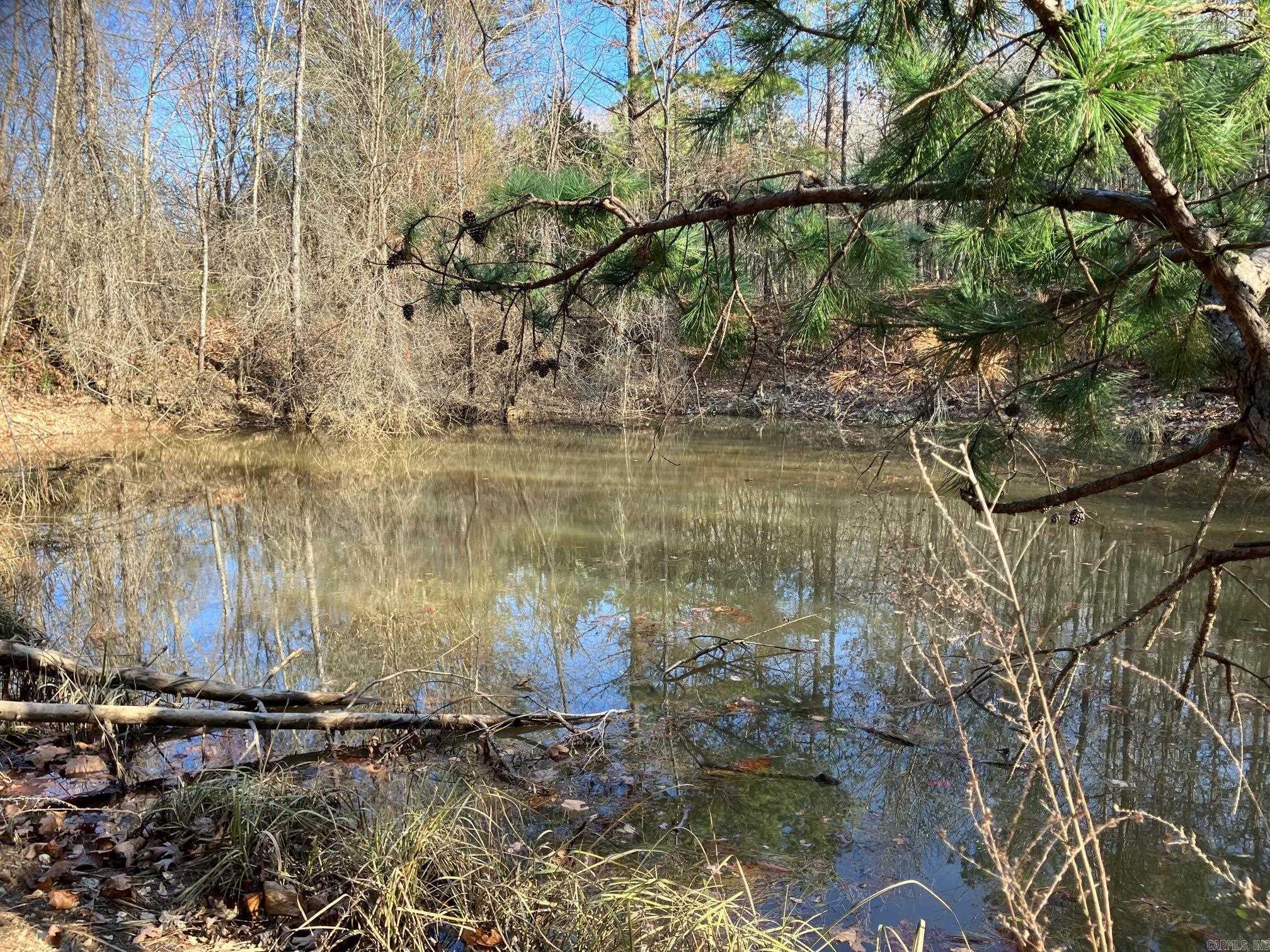 TBD-16 Acres Thompson Creek  Mena, AR