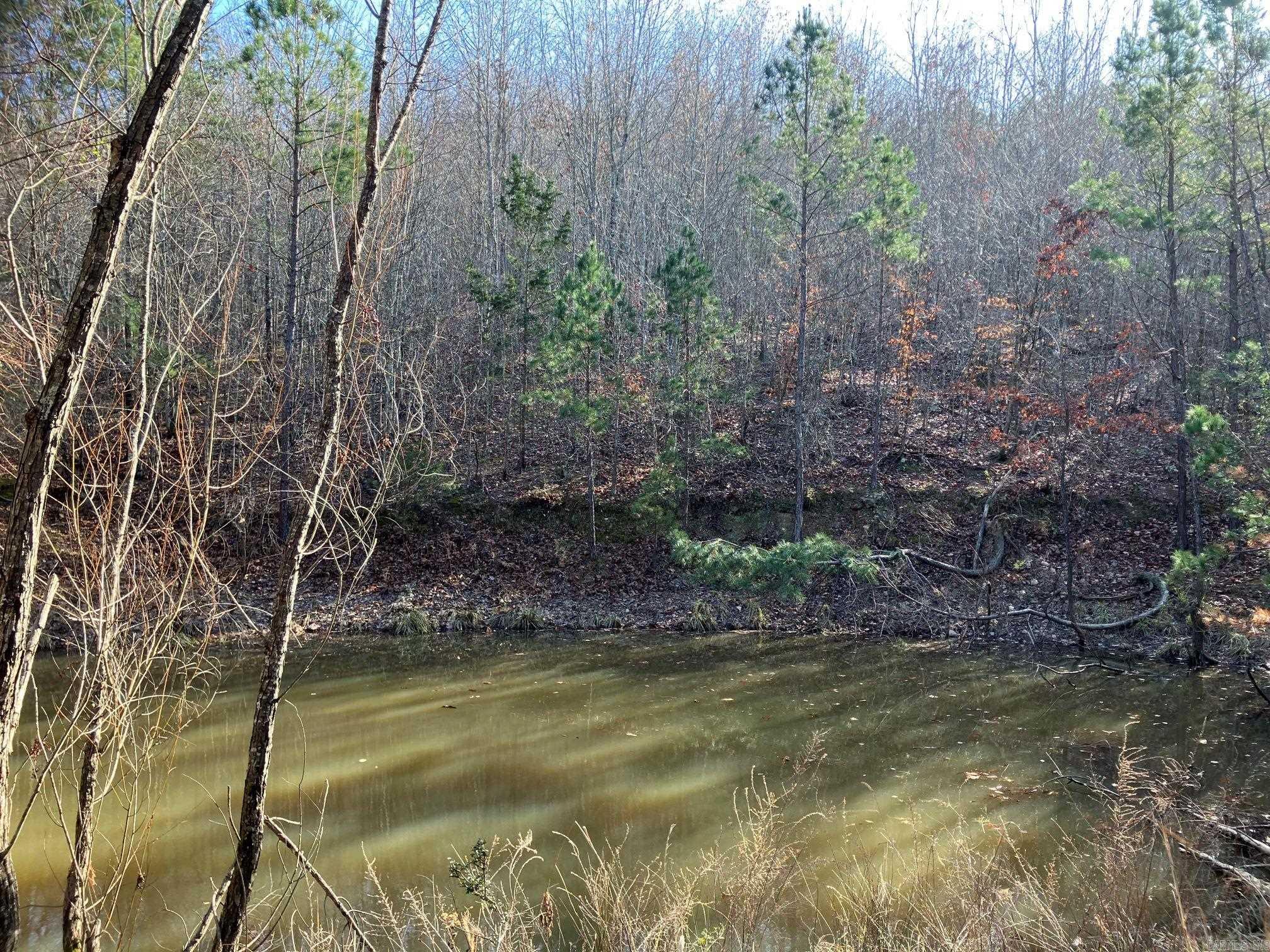 TBD-16 Acres Thompson Creek  Mena, AR