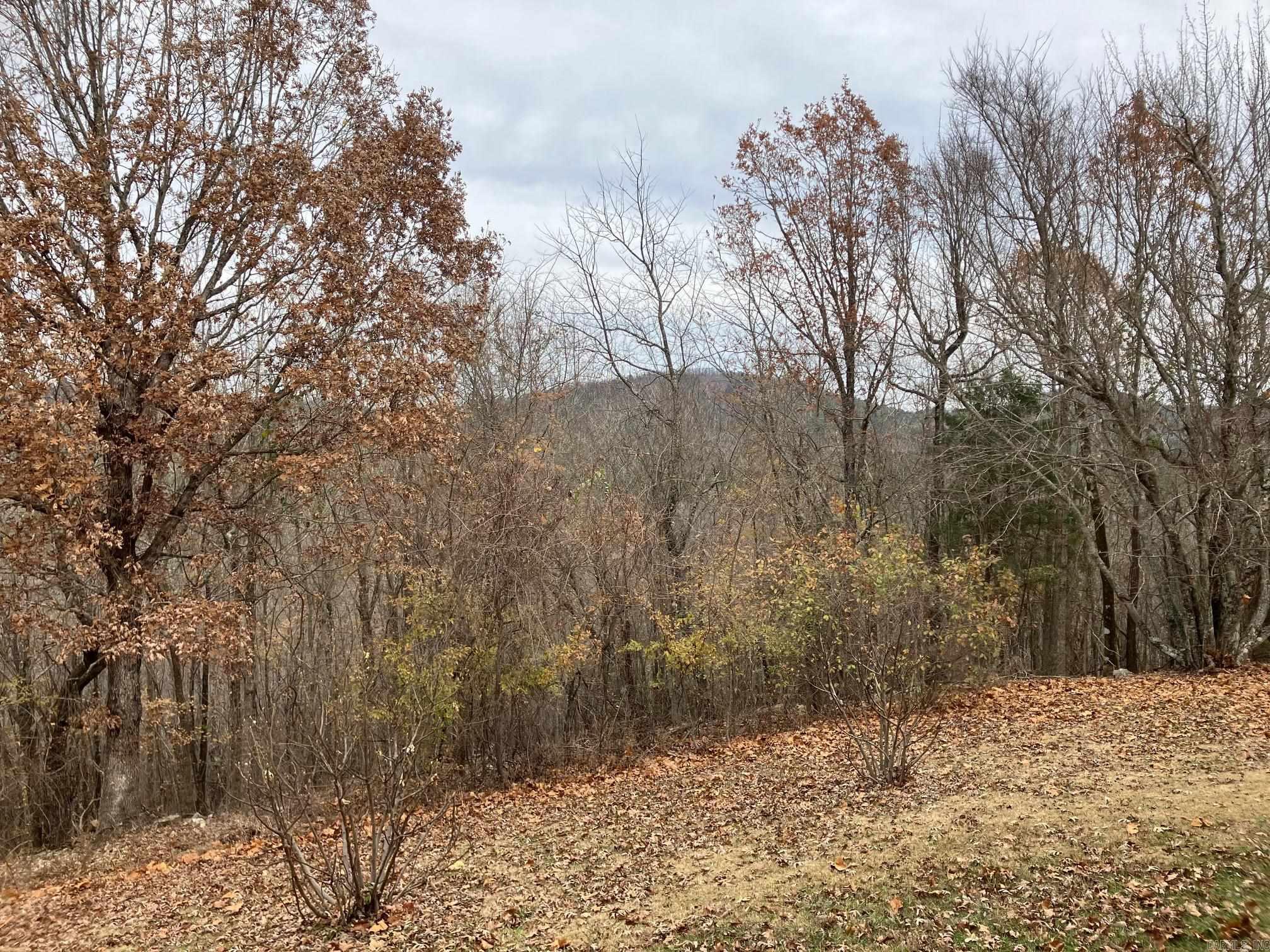 TBD-16 Acres Thompson Creek  Mena, AR