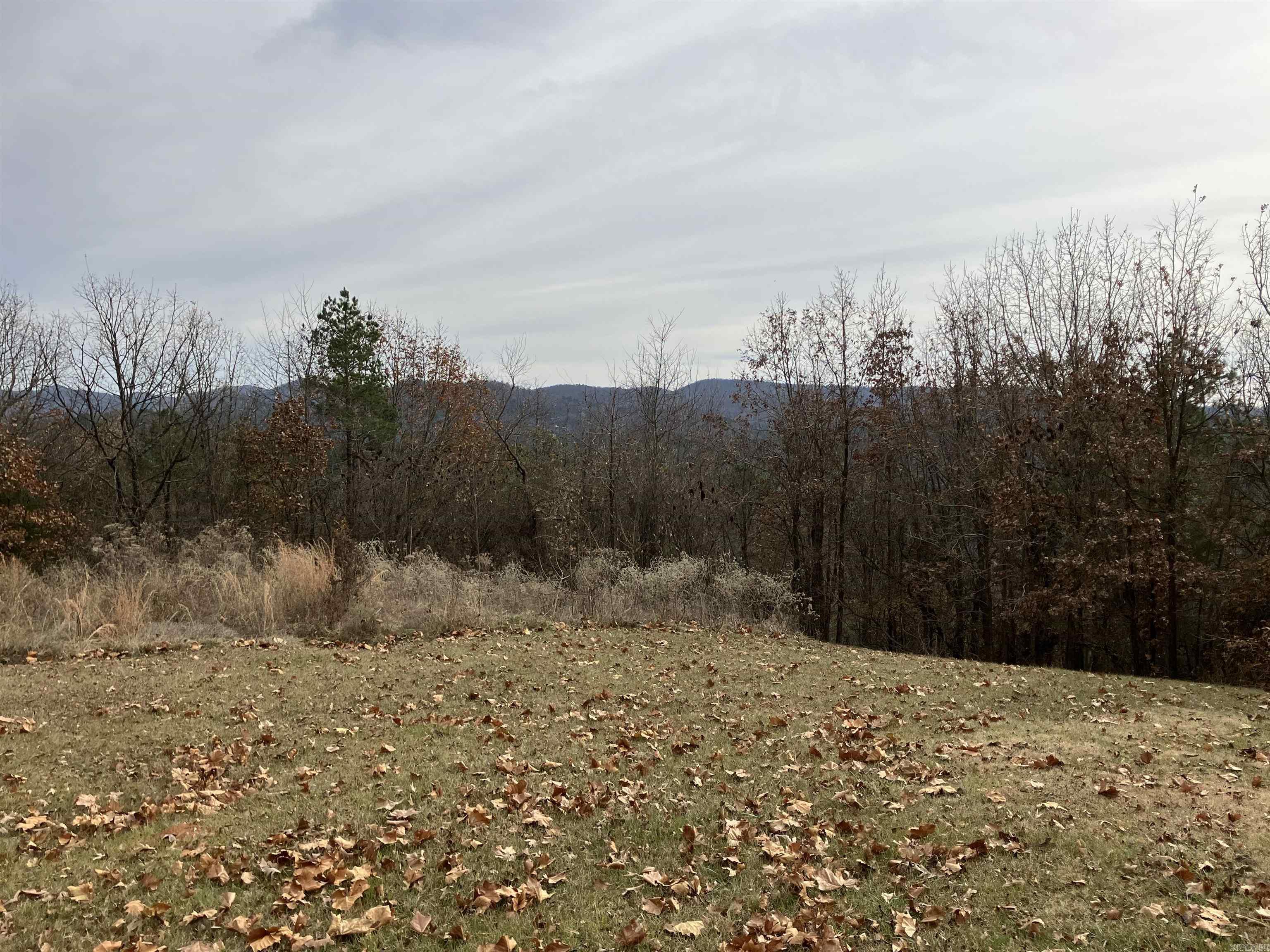 TBD-16 Acres Thompson Creek  Mena, AR