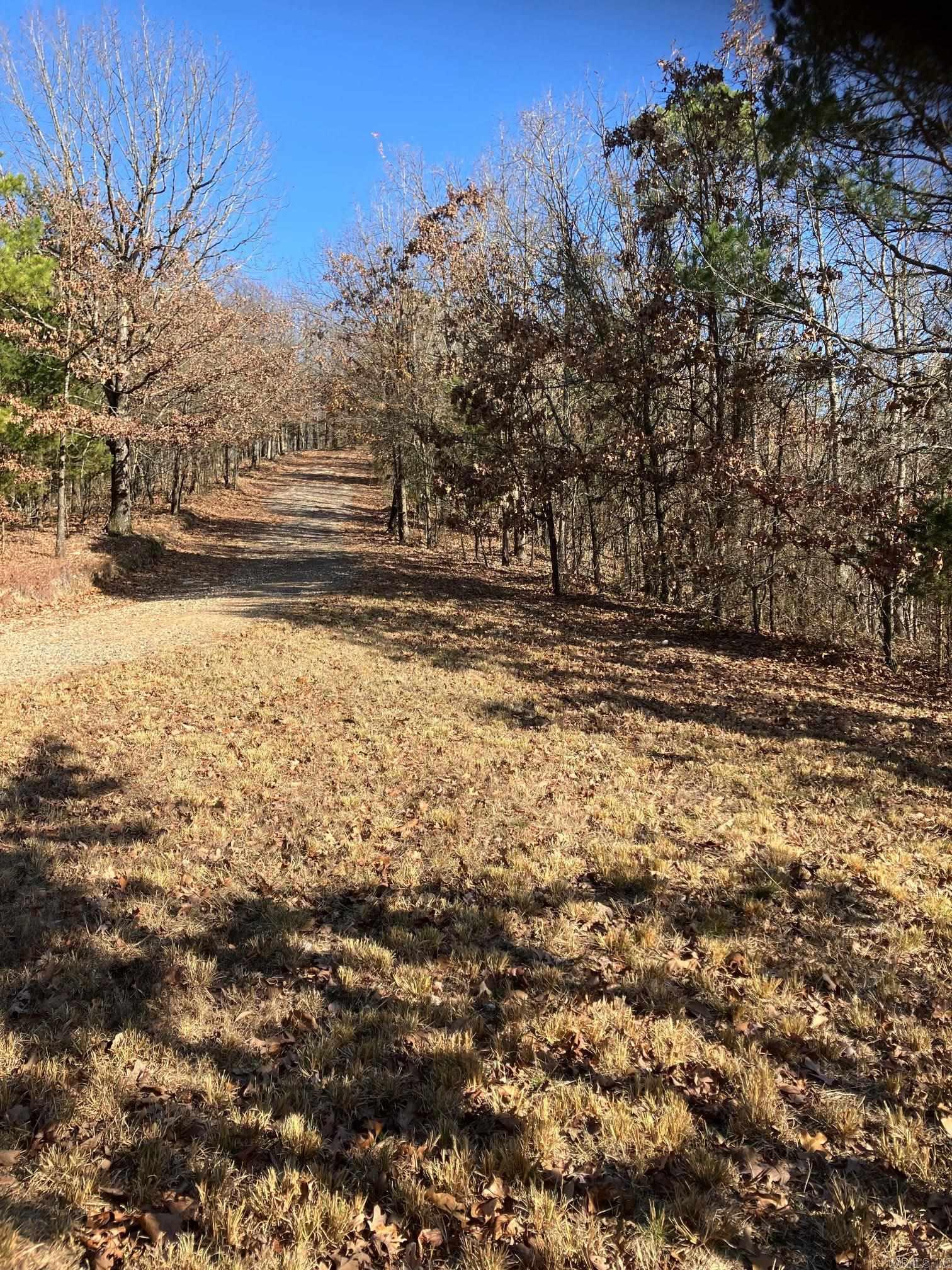 TBD-16 Acres Thompson Creek  Mena, AR