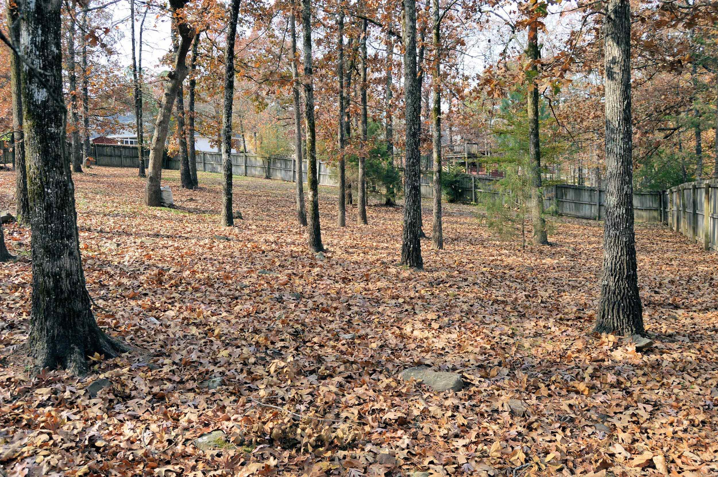 9 Vail  Maumelle, AR