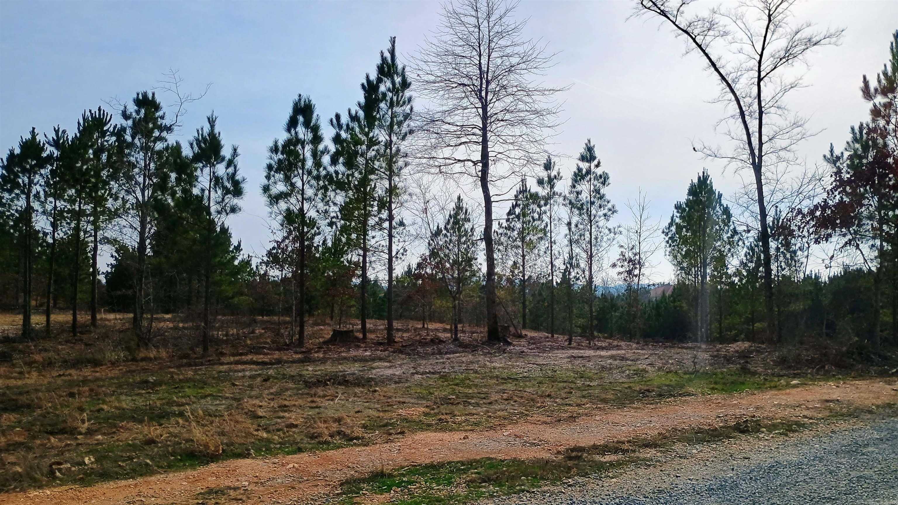 Lot 21 Elk Meadows  Hot Springs, AR