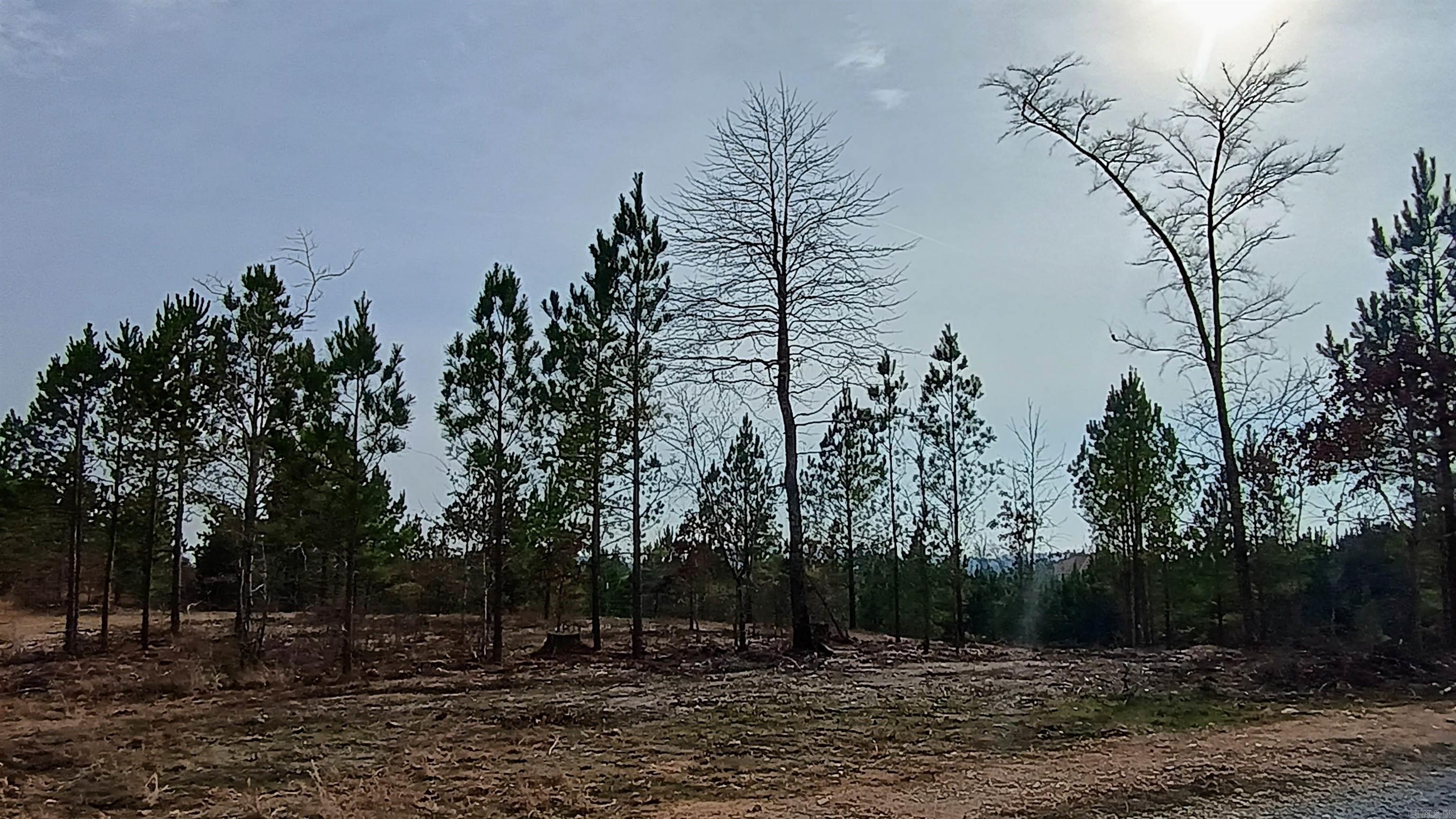 Lot 21 Elk Meadows  Hot Springs, AR