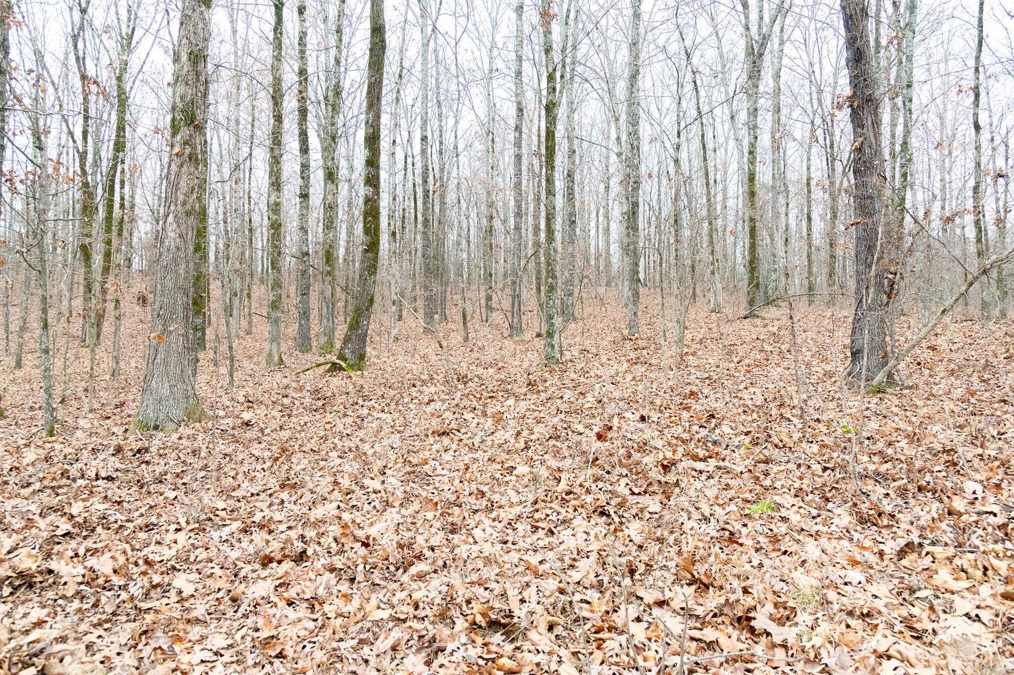 0000 Greenfield  Harrisburg, AR